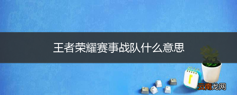 王者荣耀赛事战队什么意思