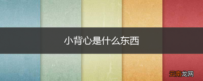 小背心是什么东西