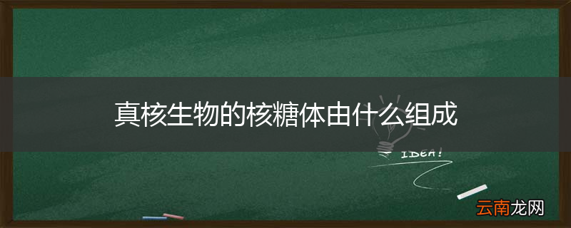 真核生物的核糖体由什么组成