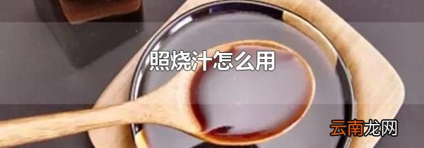照烧汁怎么用