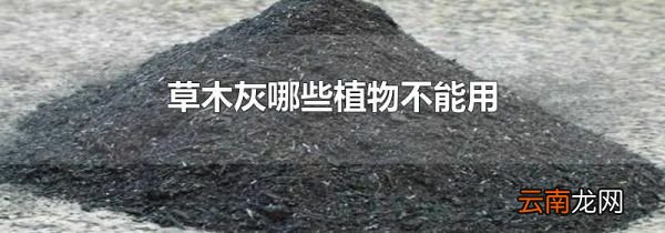 草木灰哪些植物不能用