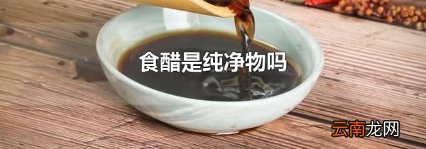 食醋是纯净物吗