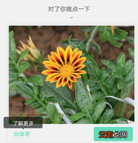 形色app使用的图文教程