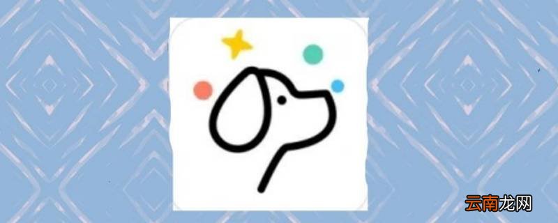 tape是什么软件