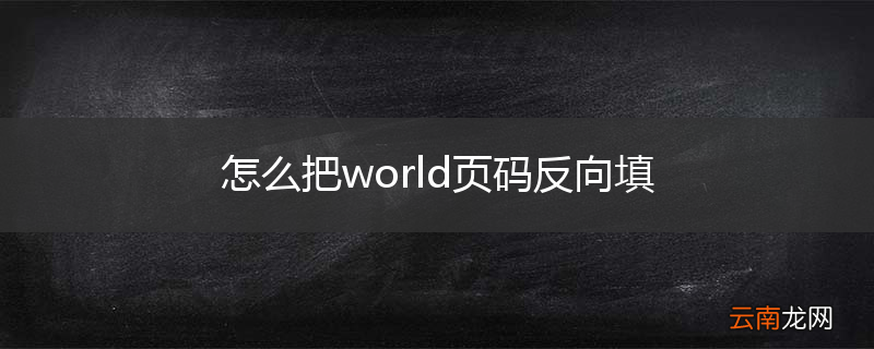 怎么把world页码反向填