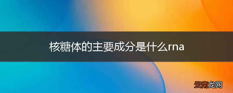 核糖体的主要成分是什么rna