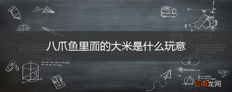 八爪鱼里面的大米是什么玩意