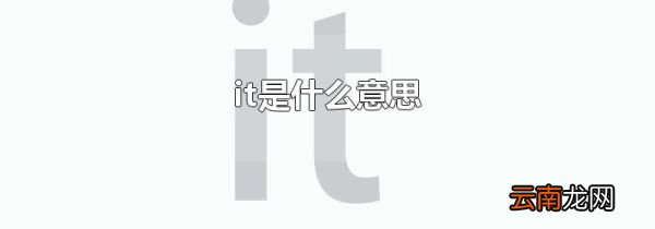 it是什么意思