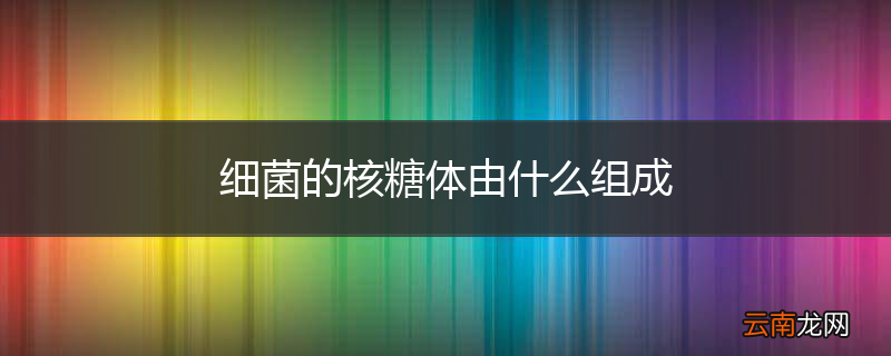 细菌的核糖体由什么组成