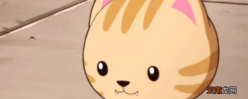 汉斯猫是哪国