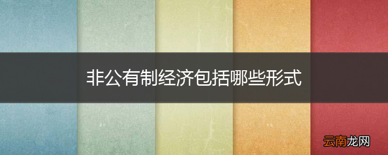 非公有制经济包括哪些形式