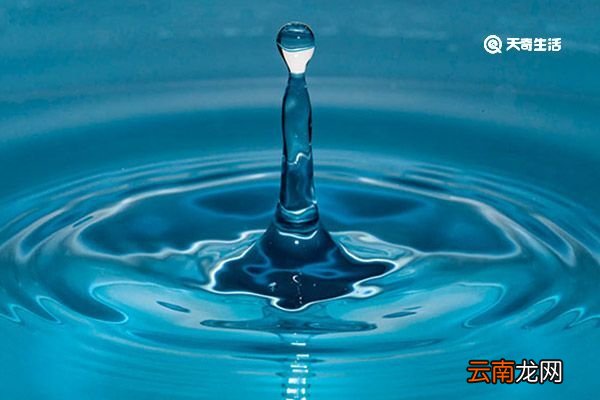 浆水有什么功效 浆水有什么功效呢