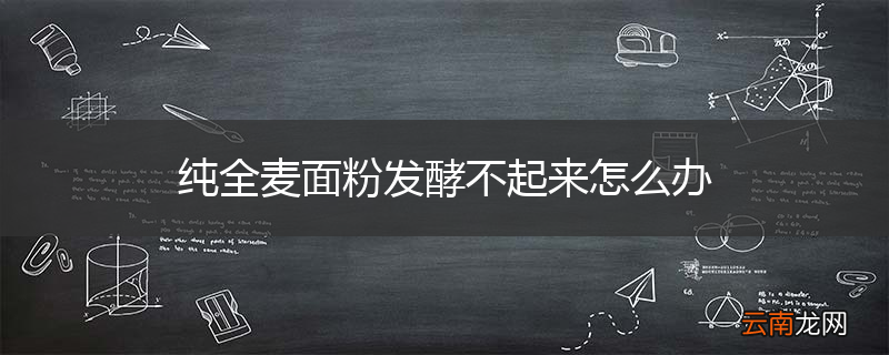 纯全麦面粉发酵不起来怎么办