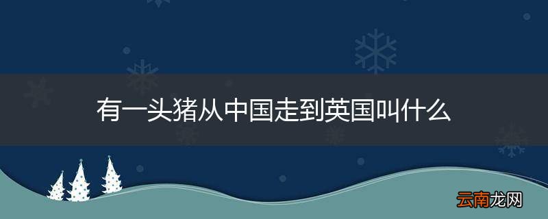 有一头猪从中国走到英国叫什么
