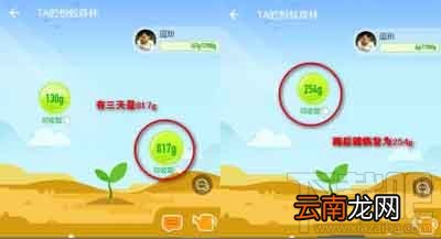 支付宝蚂蚁森林能量值计算方法