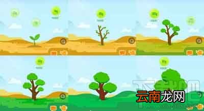 支付宝蚂蚁森林能量值计算方法