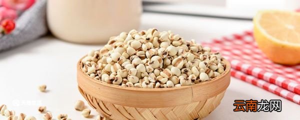 薏米是什么 薏米是什么东西