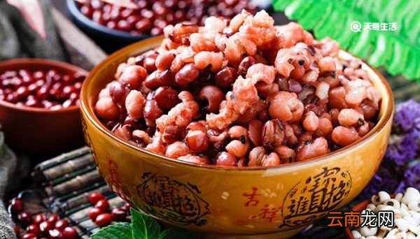 薏米是什么 薏米是什么东西