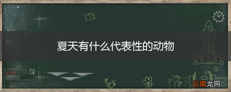 夏天有什么代表性的动物