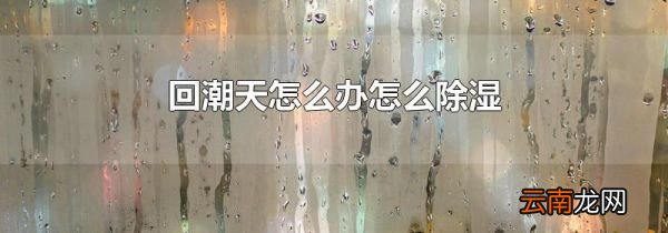 回潮天怎么办怎么除湿