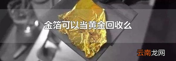 金箔可以当黄金回收么
