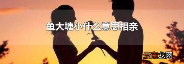 鱼大塘小什么意思相亲