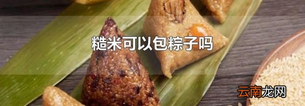 糙米可以包粽子吗