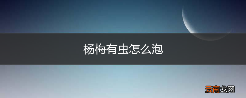 杨梅有虫怎么泡