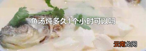 鱼汤炖多久1个小时可以吗