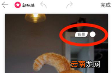 马卡龙玩图详细使用步骤介绍