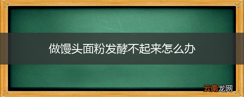 做馒头面粉发酵不起来怎么办