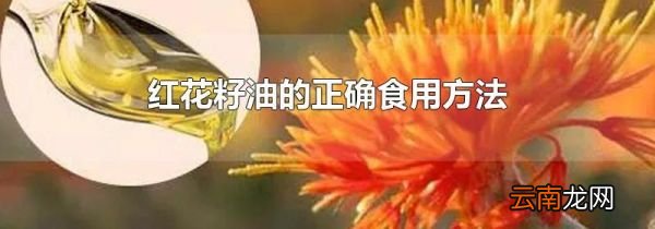 红花籽油的正确食用方法
