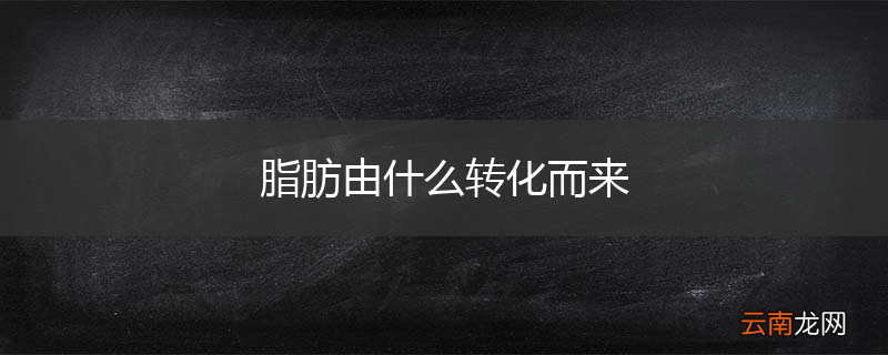 脂肪由什么转化而来