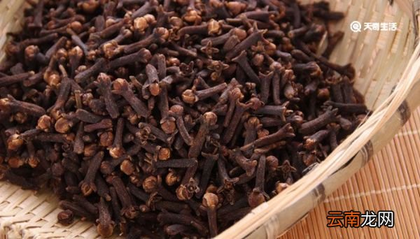 丁香茶的作用与功效 丁香茶有什么功效