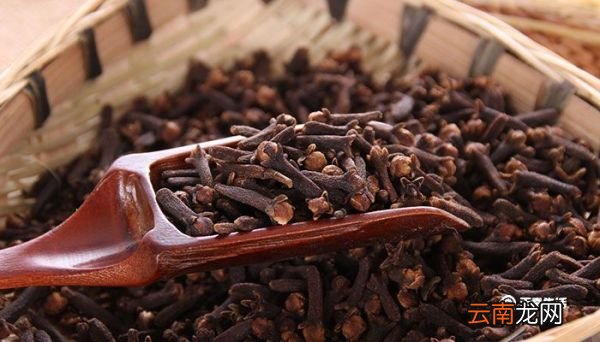 丁香茶的作用与功效 丁香茶有什么功效