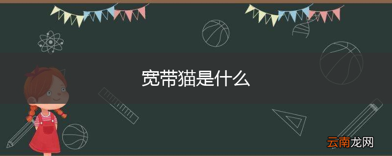 宽带猫是什么