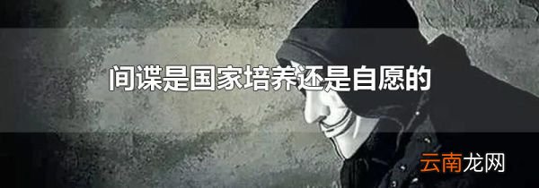 间谍是国家培养还是自愿的