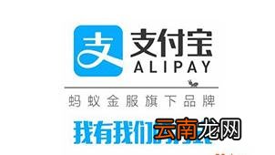支付宝中领取基金红包具体操作流程