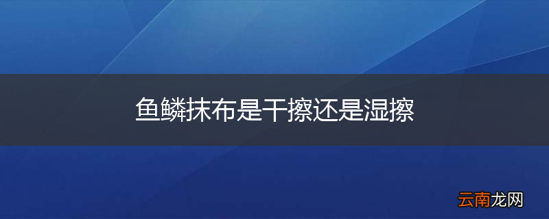 鱼鳞抹布是干擦还是湿擦