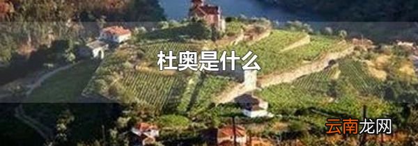 杜奥是什么