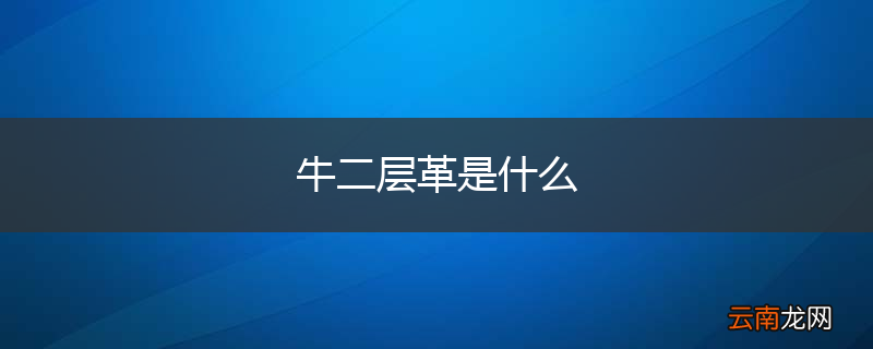 牛二层革是什么