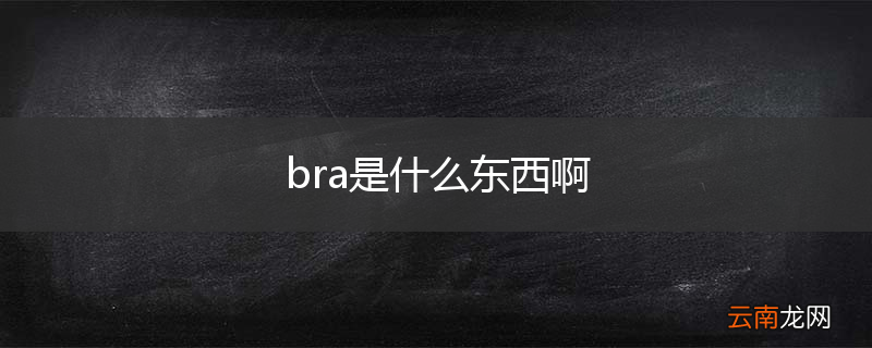 bra是什么东西啊