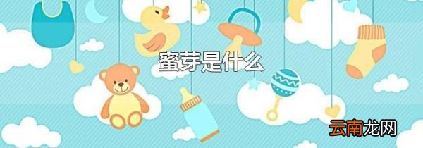 蜜芽是什么