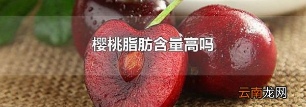 樱桃脂肪含量高吗