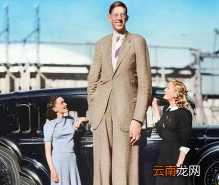 世界最高的人