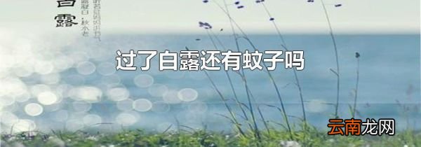 过了白露还有蚊子吗