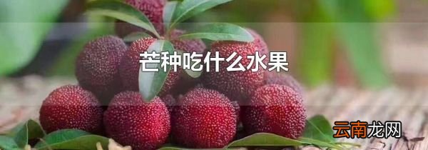 芒种吃什么水果