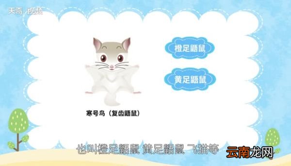 寒号鸟是什么动物 寒号鸟灭绝了吗