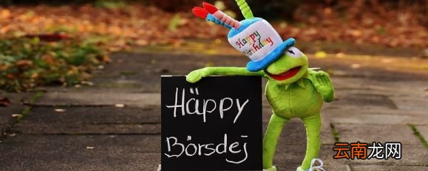生日感言 关于生日的感慨