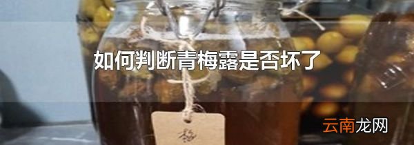 如何判断青梅露是否坏了